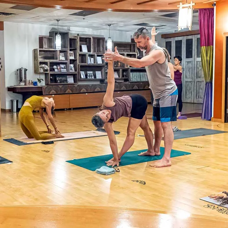 first light yoga, geoff assisting a student with a standing posture in class, full class of students, cropped image
